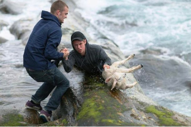 5.) These Norwegian boys save a baby lamb from a raging river.