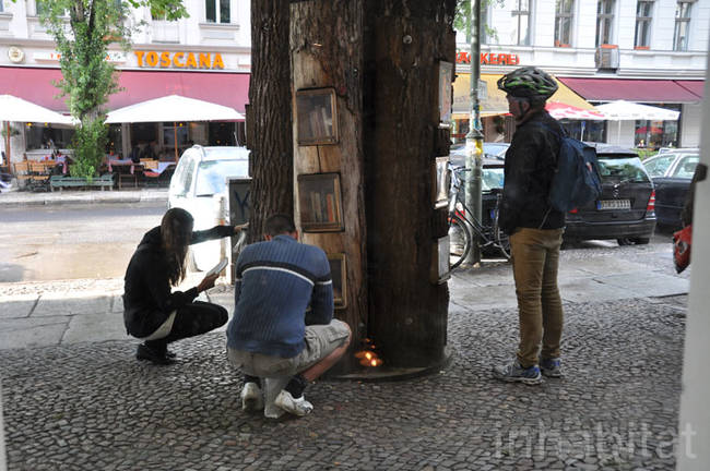 These trees are used as a free book exchange for residents in the area.