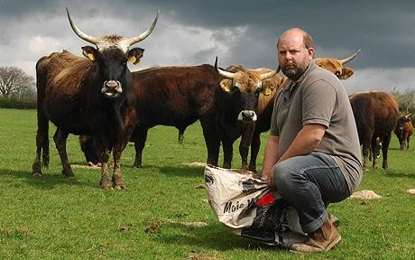 Even Gow, a passionate conservationist, agreed maybe that maybe the mighty aurochs should have stayed dead after all. He recently shipped most of his heck cattle to the slaughterhouse, keeping only the least aggressive.