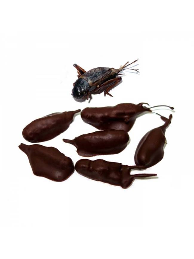 How about some chocolate coated big crickets? You can actually order these online.