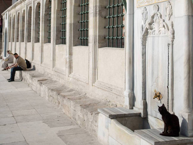 Pondering outside Faith-Mosque in Istanbul.