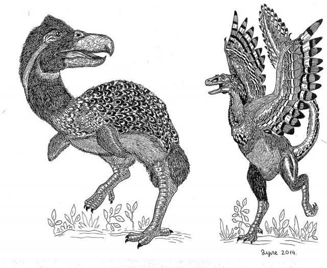 I've tried to draw dinosaurs before, but never anything this awesome (and biologically accurate.)