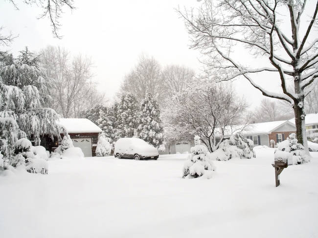 They saw an opportunity to make something amazing with all the fresh snow.