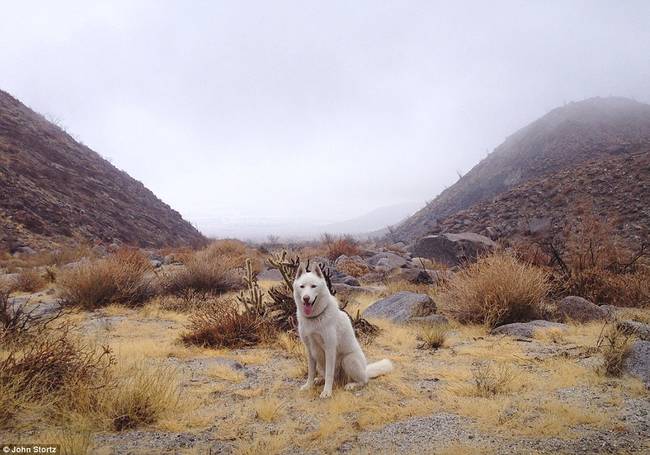 Anza Borrego Desert