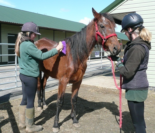 In addition to her weight issues, Polly also had to battle skin conditions like rain scald and dermatitis.