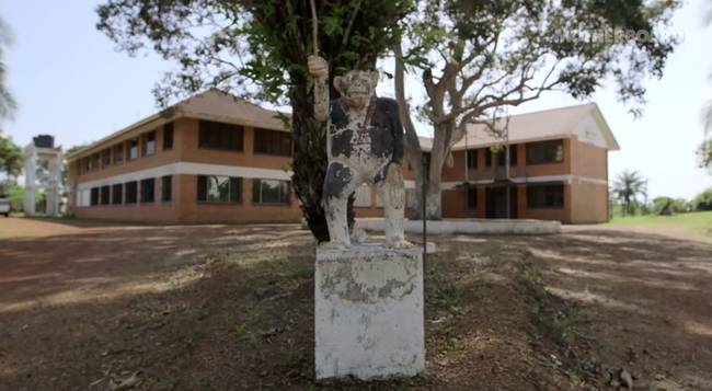 The chimps used to call the nearby facility of The Liberian Institute of Biomedical Research (Vilab II) home. They were once experimented on there, as part of research attempting to find ways to treat Hepatitis.