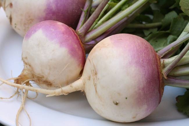 7.) In Great Britain, Jack-O-Lanterns are traditionally made from turnips instead of pumpkins.