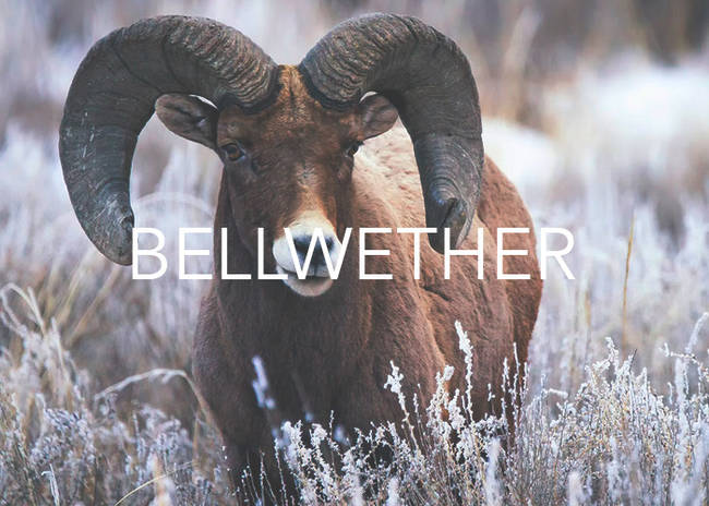 This was used in the Middle Ages to identify the leader of a pack of sheep. "Wether" refers to the castrated ram who would usually be wearing a bell.