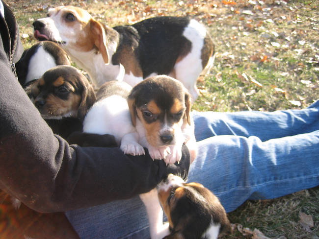 "'Go play with your cousins,' she says."