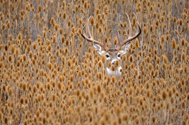 Soaking in all the autumn ambiance.