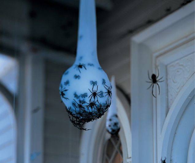 Spider egg.