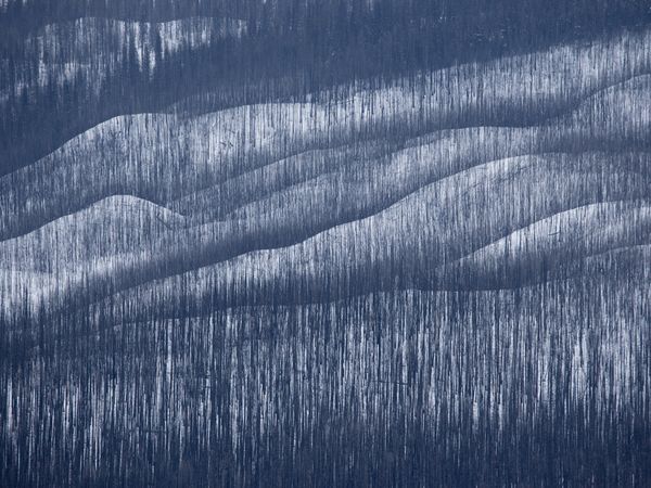 18.) Glacier National Park in Montana after a wildfire in 2006.