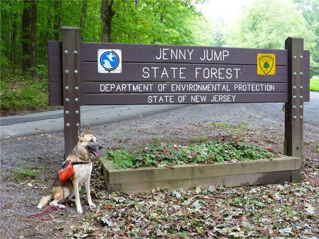 Jenny Jump State Forest in Green Meadows, New Jersey, has a tragically straightforward name. A girl named Jenny and her father were walking though the forest when they were ambushed by members of the Taino tribe. As they got closer, Jenny's father screamed, "Jump, Jenny, Jump!" She did, causing her to fall off a cliff to her death.