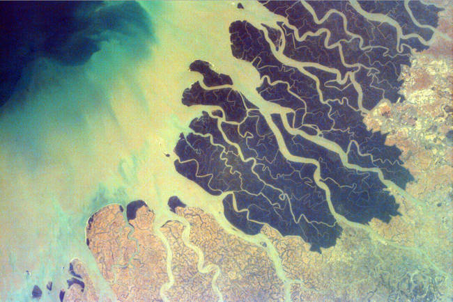 The Ganges River Delta