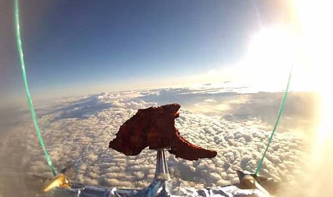 The footage included the lamb chop's stunning ascent through Earth's atmosphere.