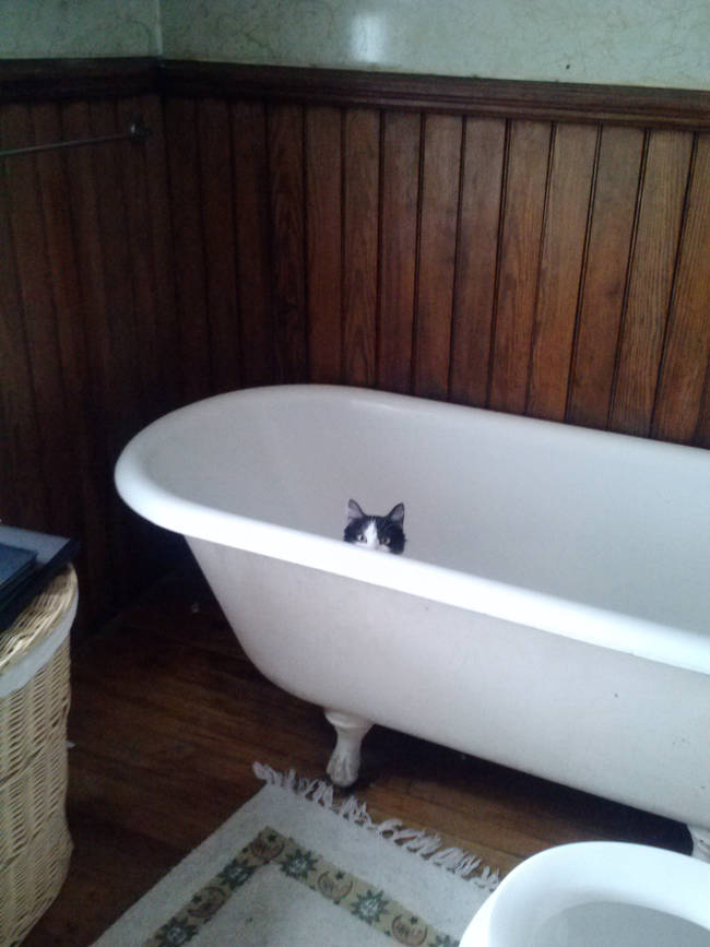 "Why haven't you drawn my bath yet?"