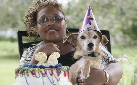 The world's oldest dog died at age 29.