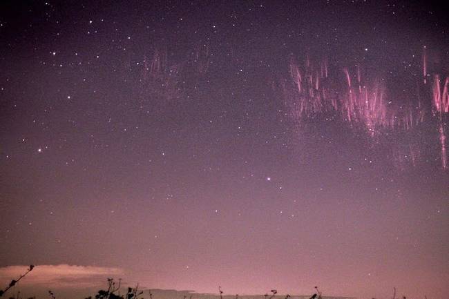 Electrical discharges have never looked this beautiful.