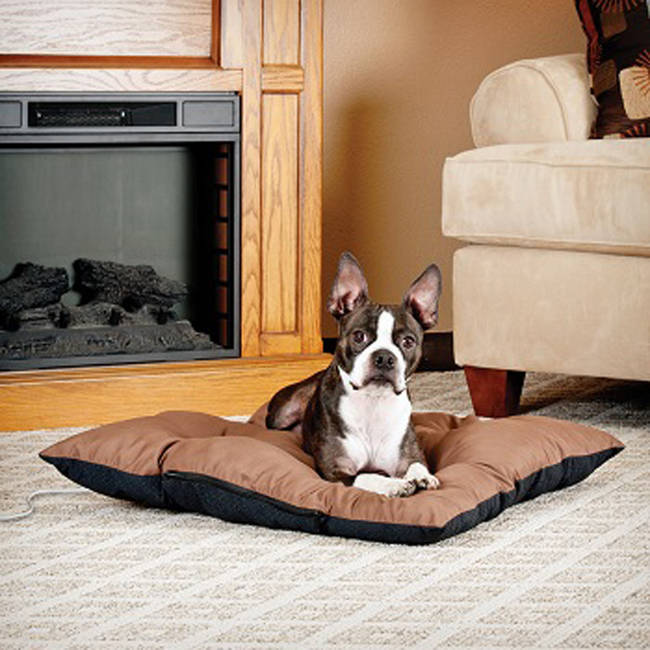 Warm them up with a <a href="https://www.petco.com/product/126140/KAndH-Thermo-Cushion-Small-Pet-Bed.aspx" target="_blank">heated small pet bed</a>.