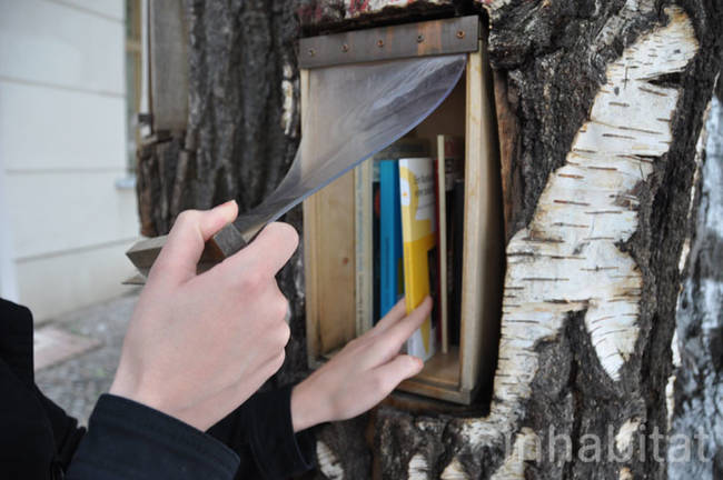 There are a few shelves in each of the trees, with plastic covers to protect the books from any bad weather.