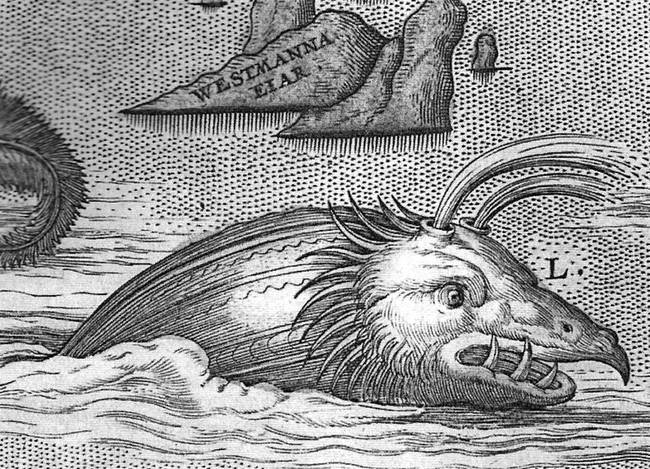 1603: Abraham Ortelius published a map featuring the Steipereidur, a whale-like creature that looks fearsome, but actually fights off other more dangerous beasts to save fishermen.