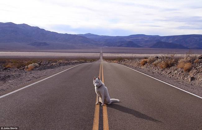 Death Valley National Park, near the border of California and Nevada