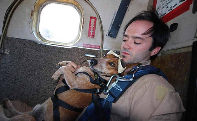 People might not understand why this dog and owner duo go sky diving...