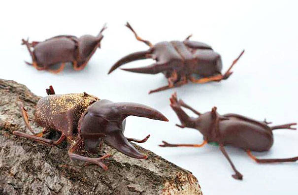 Chocolate Bugs.