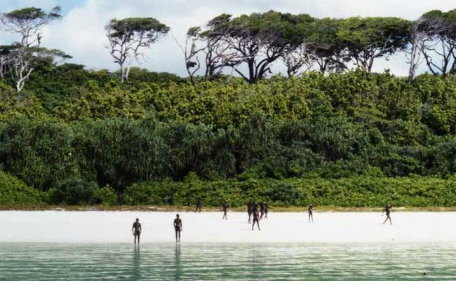 Very little is known about the Sentinelese. Their language, culture and settlements are all, for the most part, unknown. They live in a very dense forest, hiding them from the rest of the world. What we <b>do</b> know about the Sentinelese is that they are hunter-gatherers. They do not farm. Instead, they live on fruits, fish, tubers, wild pigs, lizards and honey.