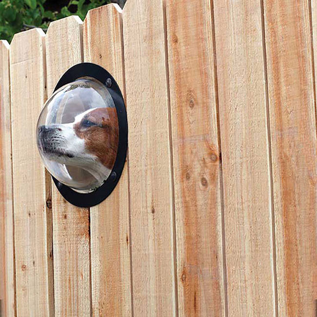 <a href="https://www.awesomeinventions.com/shop/dog-peek-window/" target="_blank">Dog Peek Window</a>