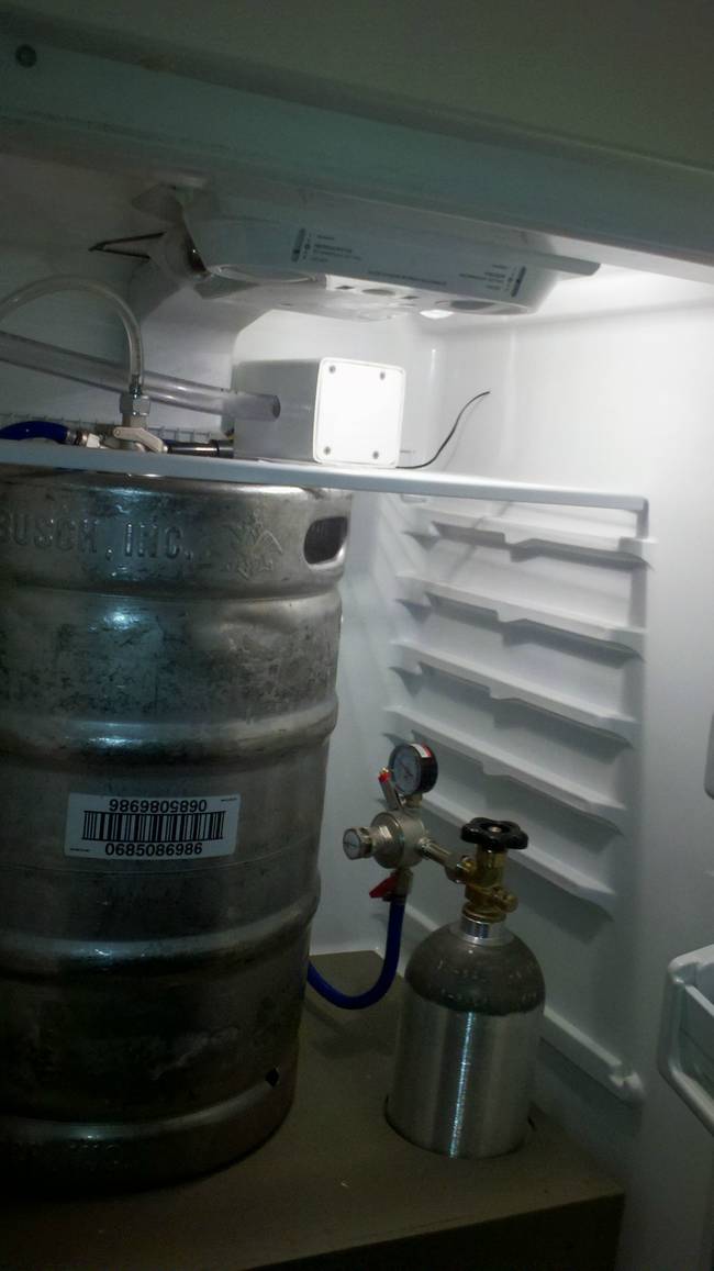 Here's the keg inside the refrigerator, with pressurized tubes that will keep the beer flowing.