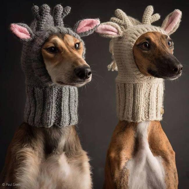 "Don't tell Sally. She'll kill me if she found out we did matchies on the reindeer hood. She's been trying to get me to do a costume with her for YEARS."