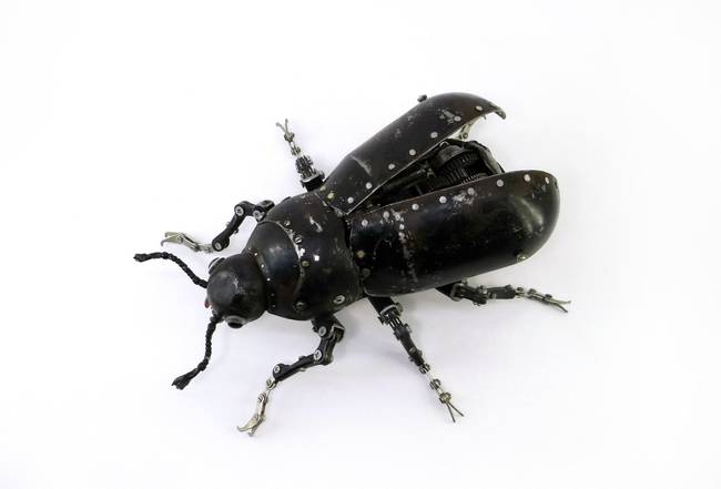 A fly, looking somewhat sinister with its black shell and rivets.