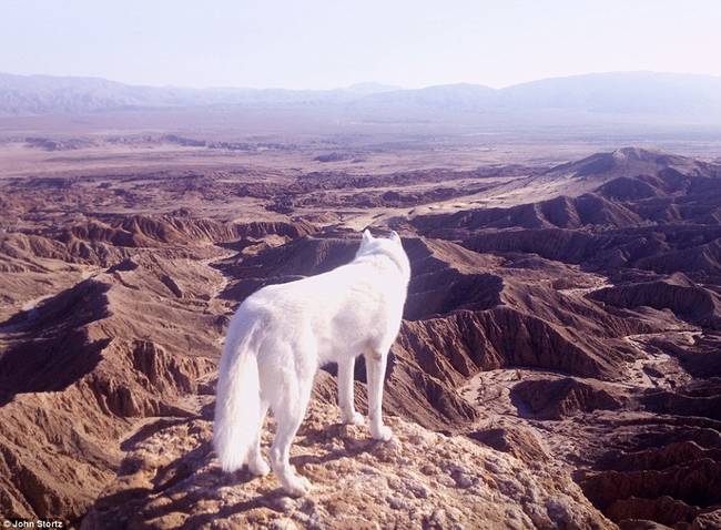 Anza-Borrego Desert, within the Colorado Desert of Southern California