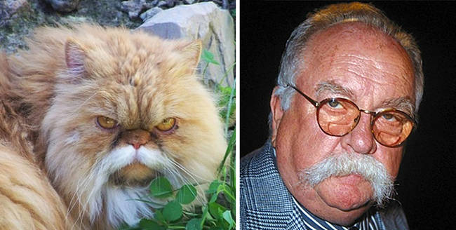 Wilford Brimley, oh my!