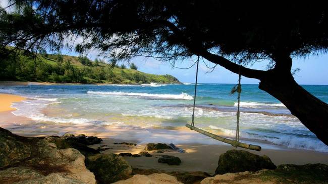 Chill Beach Swing