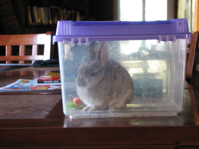 "This is literally the smallest cubicle I have ever worked in."