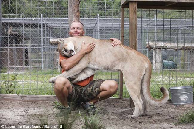 Still though Bovard plans to continue his mission of preserving a future for these big cats for as long as he can.