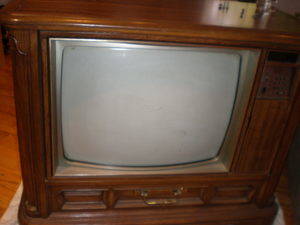 Sure, it looks like an average old tube television, but very soon it will be every TV fan's dream fish tank.