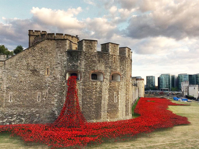 The moat that surrounds the Tower of London has long stood empty and dry. But now, what may look like gushing blood from it's very walls, is actually something beautiful.