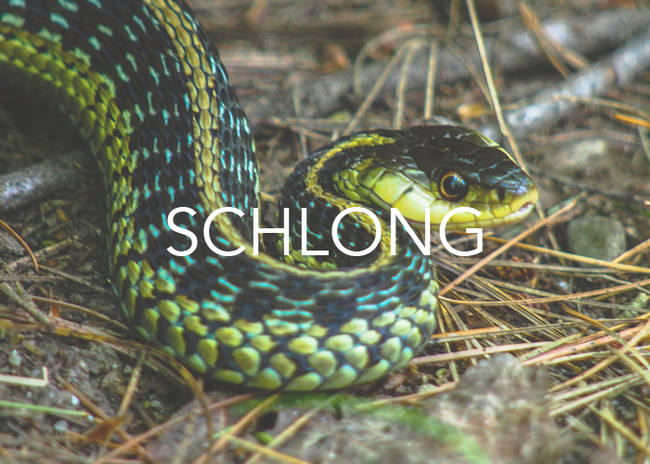 From the Yiddish word for snake, "schlang."