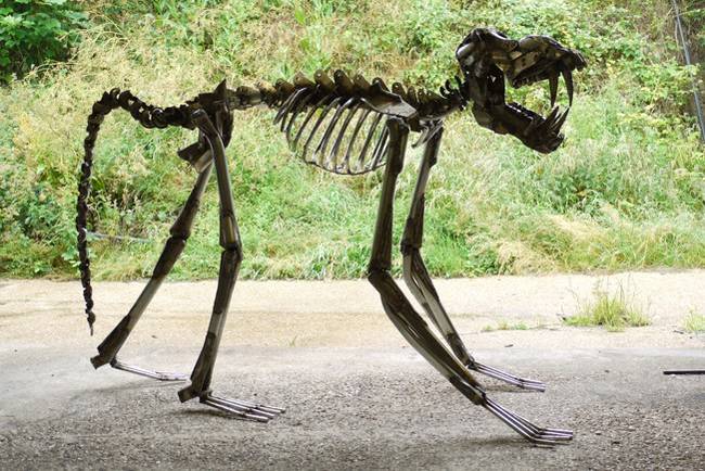 Baboon Skeleton