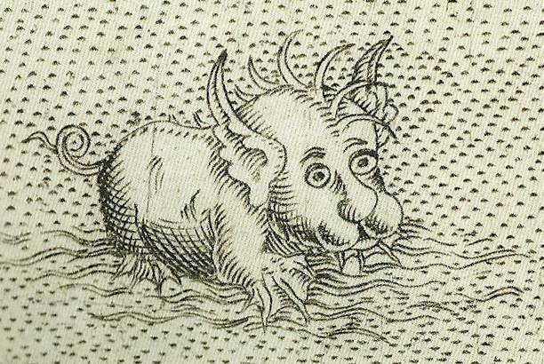 1567: It got to a point in map making where maps would sell more because of the mythological beasts populating them. So this Sea Camel wasn't really based on any sighting; it more or less just looked kind of cute.