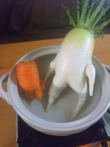 7. So a radish and a carrot get into a hot tub...