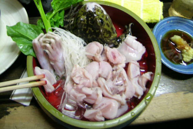 Frog - Frog Sashimi is a fresh frog meal.  When I say fresh frog, I mean that it is literally killed in front of your eyes and is meant to be consumed immediately.