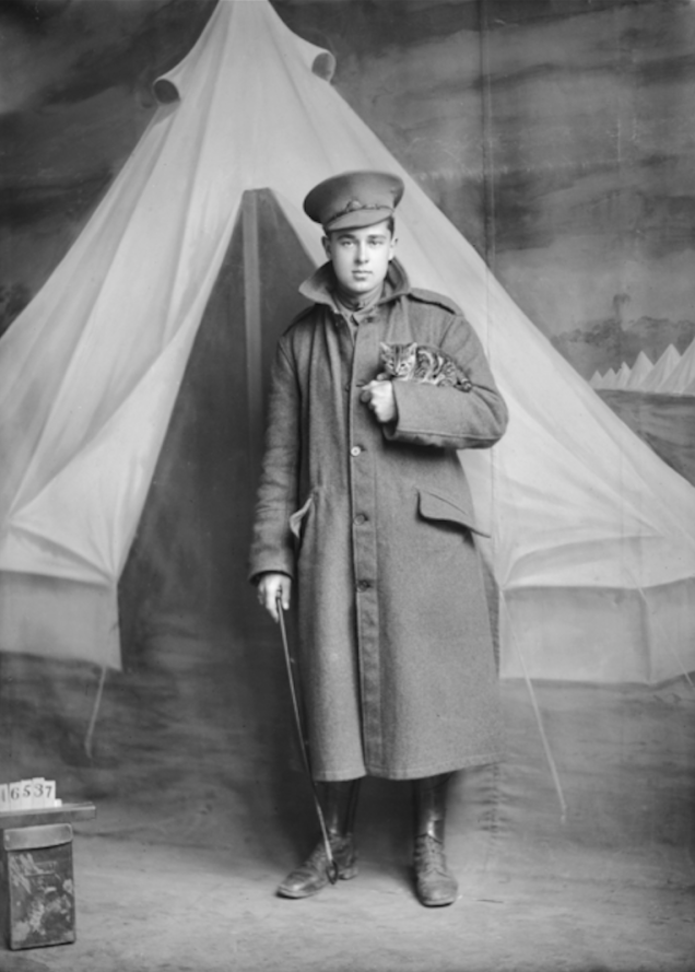 13.) Soldier holding a kitten for his studio portrait.