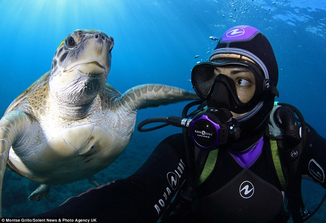 Grillo said she loves spending time with the turtles, "so I thought I would take a selfie."