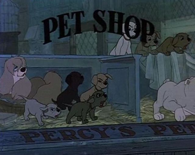 101 Dalmations - Peg from Lady and the Tramp is in the window of Percy’s Pet Shop