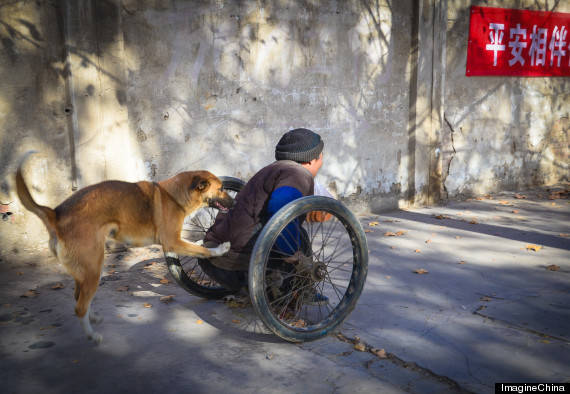 His pooch sometimes uses his paws to help his owner along, or will gently use his head to guide the axle forward.