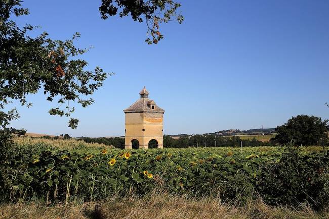 They're spread across the southwestern region, typically Tarn and Dordogne.